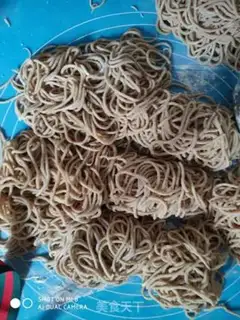 Make All wheat sauce noodles step 7
