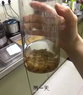 Make Natural yeast preproduction step 1