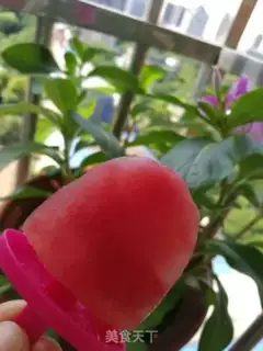 Make Watermelon popsicles step 10