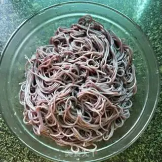 Make Garlic for black rice powder step 0
