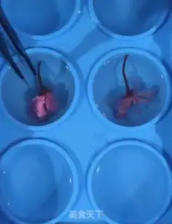 Make Hydra step 3