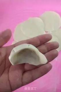 Make Sphinx pork dumplings step 8