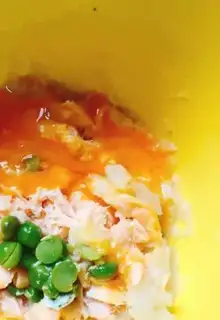 Make Salmon step 3
