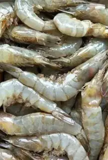 Make Garlic fans steam shrimp step 0