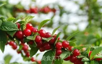 Make Cherry jam step 0