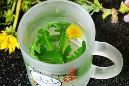 Make Plum tea step 5