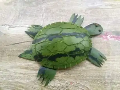 Make A tortoise step 8