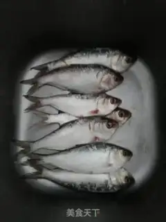 Make Fish step 1