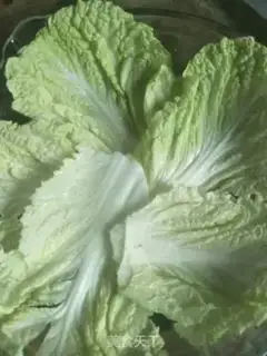 Make The fragrance wings step 2