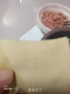 Make Home tofu roll step 3