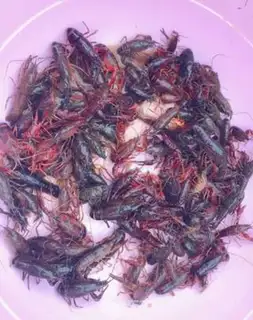 Make Spicy dry pot lobster step 0