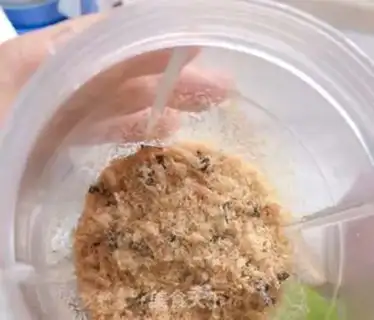 Make Homemade sesame moss pine step 10