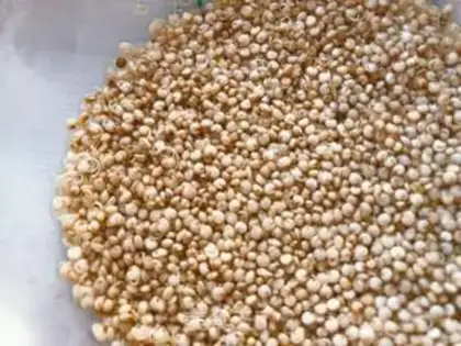 Make quinoa butterflies soup step 1