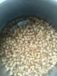 Make Bones soup step 1