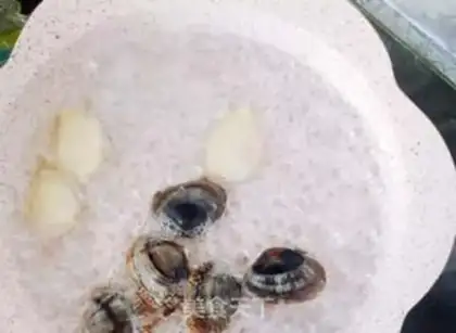Make Cracking eggs step 0