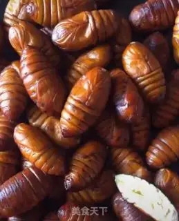 Make Dry ricin step 1