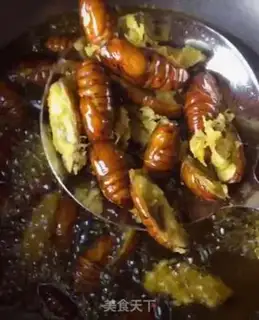 Make Dry ricin step 4