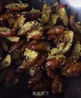 Make Dry ricin step 8