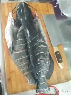 Make Qingjiang
