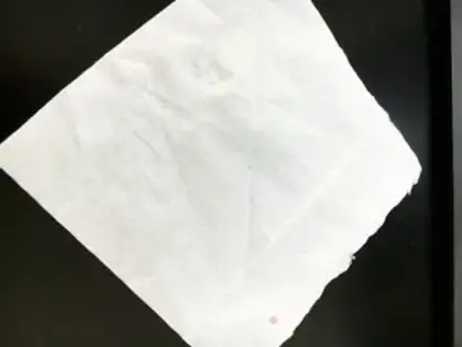 Make Goldfish step 2