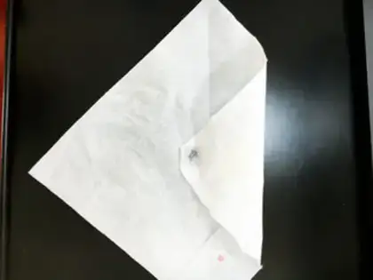 Make Goldfish step 4