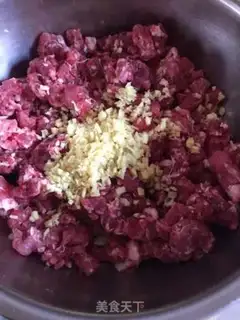 Make dumplings step 0