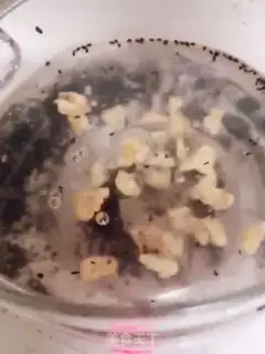 Make Porridge step 2