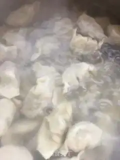 Make dumplings step 5