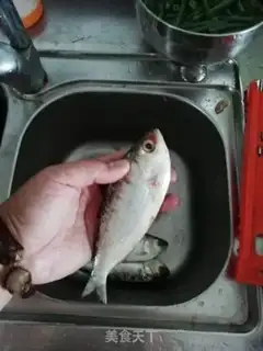 Make Fish step 0