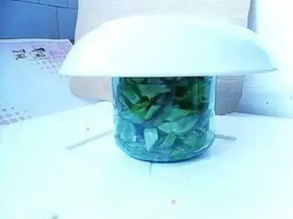 Make step 6
