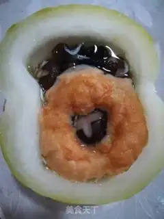 Make Wintermelon step 5