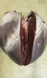 Make The heart of a pig step 1