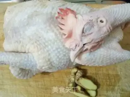 Make White pheasant step 0