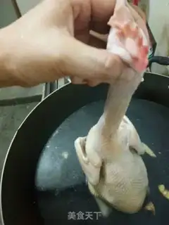 Make White pheasant step 1