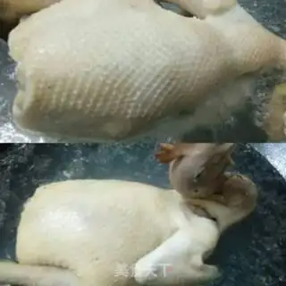 Make White pheasant step 2