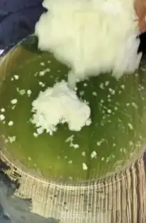 Make A hundred percent success in the steam cake step 0