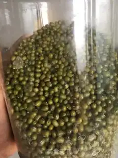 Make Iced green bean soup step 0