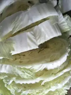 Make Homemade pepperfish step 4