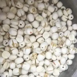 Make Silver Ears Spill step 0