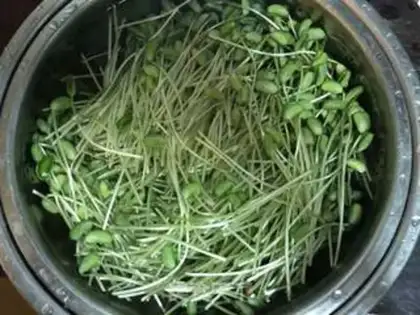 Make Black bean sprouts step 1