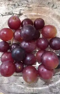 Make Grape cans step 0