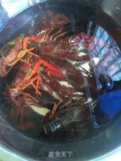 Make Spicy lobster step 0