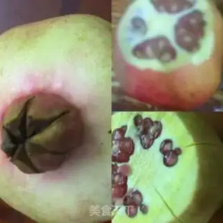 Make Pomegranate juice step 0