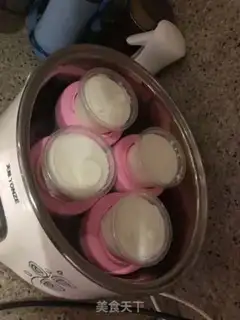 Make Homemade defamate yogurt and goat yogurt step 4