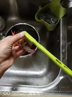 Make Spicy lobster step 1