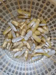 Make Onions step 3