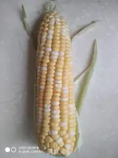 Make Corn juice step 0