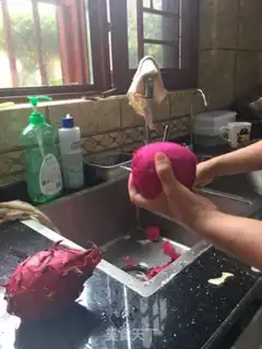 Make Flamingo yeast step 7