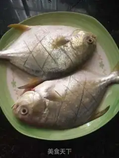 Make Vacuated goldfish step 1