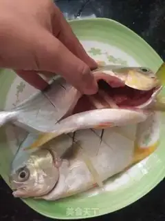 Make Vacuated goldfish step 3